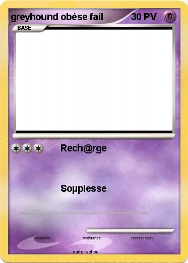 Pokemon greyhound obèse fail