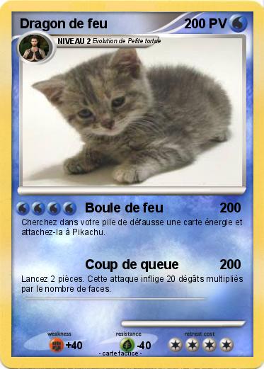 Pokemon Dragon de feu