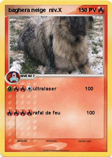 Pokemon baghera neige  niv.X     