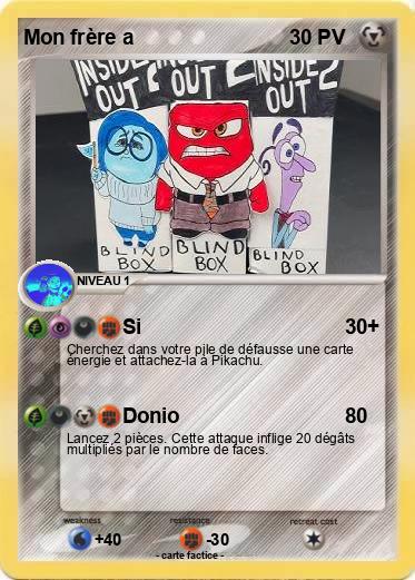Pokemon Mon frère a