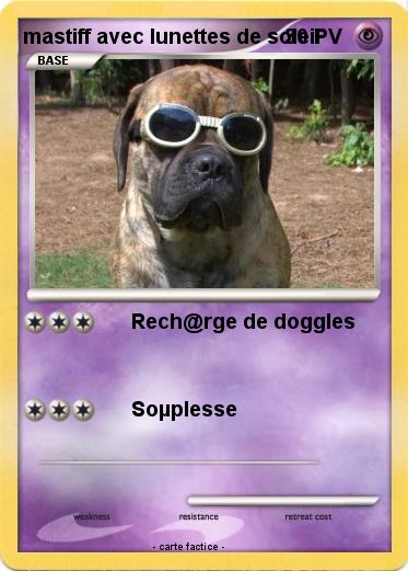 Pokemon mastiff avec lunettes de soleil