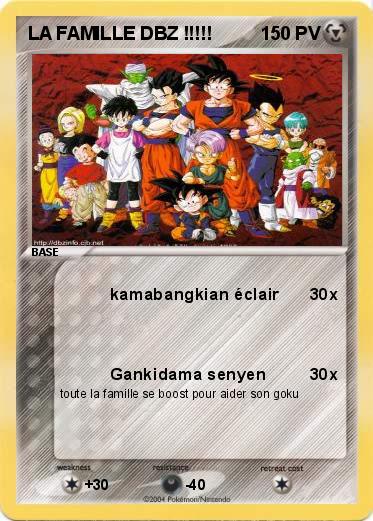 Pokemon LA FAMILLE DBZ !!!!!