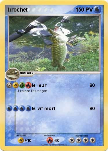 Pokemon brochet