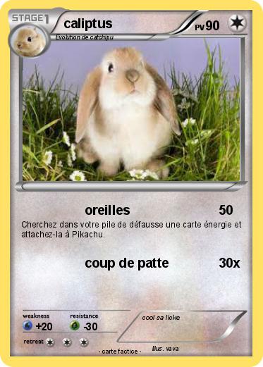 Pokemon caliptus