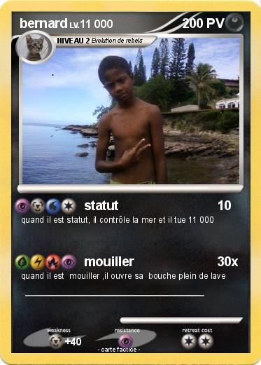 Pokemon bernard