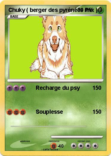 Pokemon Chuky ( berger des pyrénées mix )