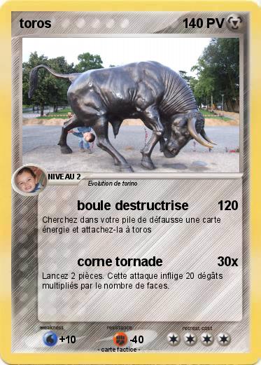 Pokemon toros
