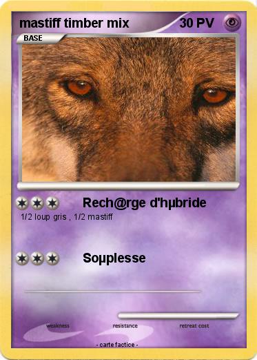 Pokemon mastiff timber mix