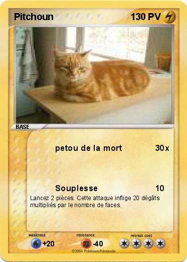 Pokemon Pitchoun