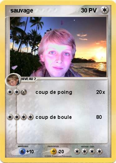 Pokemon  sauvage 