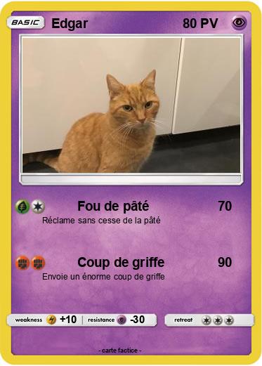 Pokemon Edgar