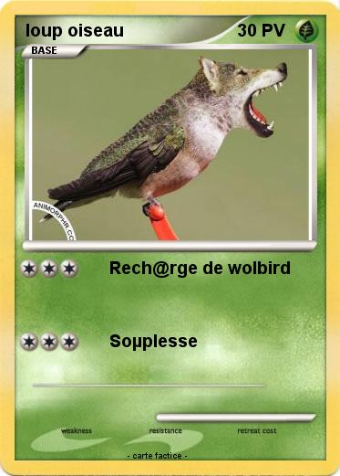Pokemon loup oiseau