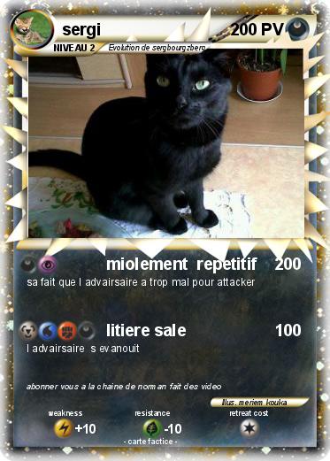 Pokemon sergi