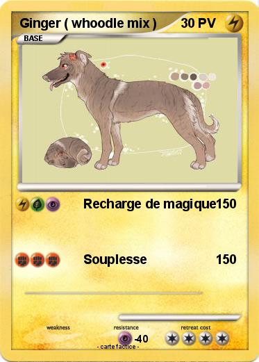 Pokemon Ginger ( whoodle mix )