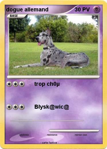 Pokemon dogue allemand