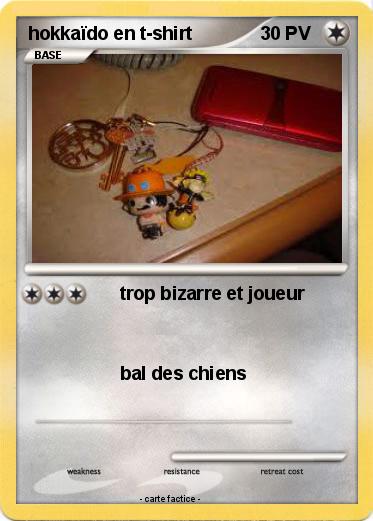 Pokemon hokkaïdo en t-shirt