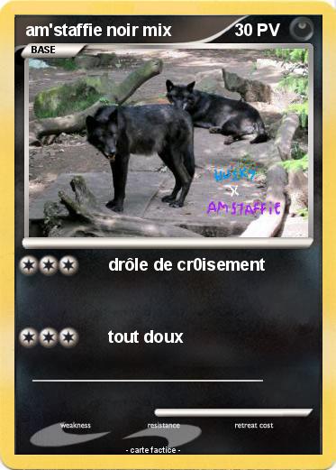 Pokemon am'staffie noir mix