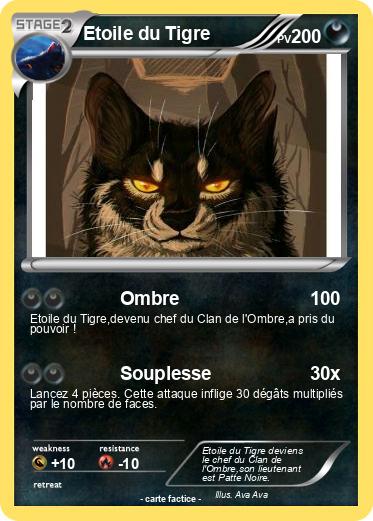 Pokemon Etoile du Tigre