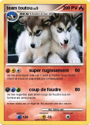 Pokemon team toutou