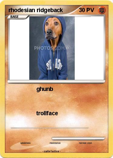 Pokemon rhodesian ridgeback