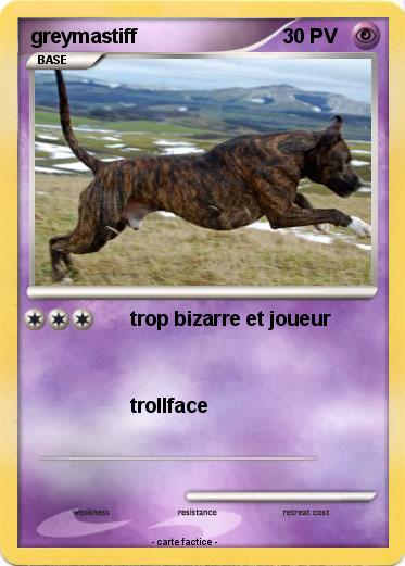 Pokemon greymastiff