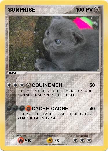 Pokemon SURPRISE
