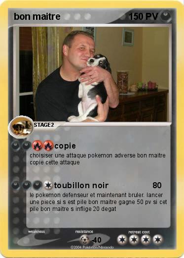 Pokemon bon maitre