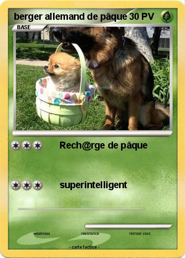 Pokemon berger allemand de pâque