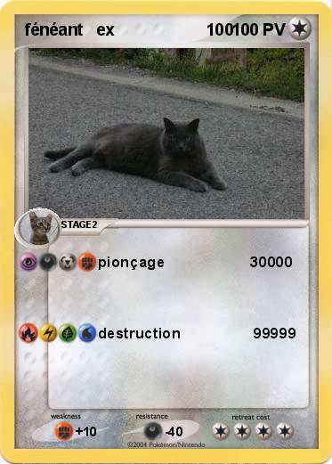 Pokemon fénéant   ex                    100