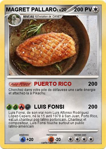 Pokemon MAGRET PALLARO