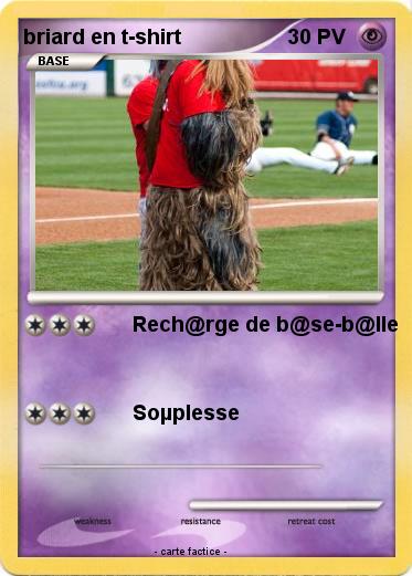 Pokemon briard en t-shirt