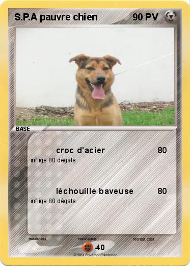 Pokemon S.P.A pauvre chien