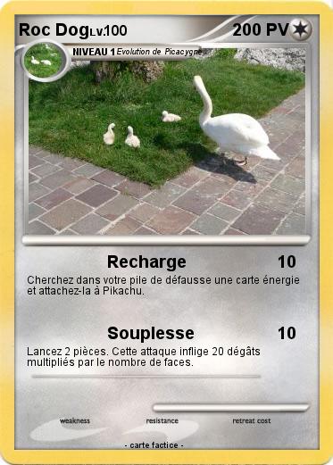Pokemon Roc Dog