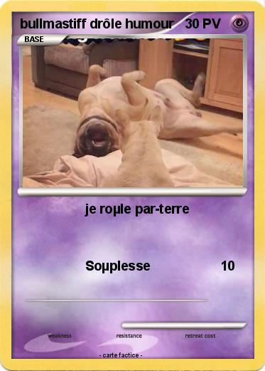Pokemon bullmastiff drôle humour