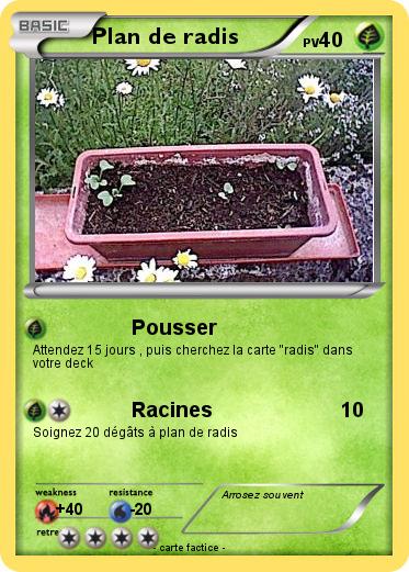 Pokemon Plan de radis