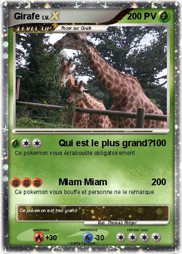 Pokemon Girafe