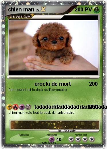Pokemon chien man