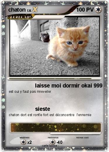 Pokemon chaton