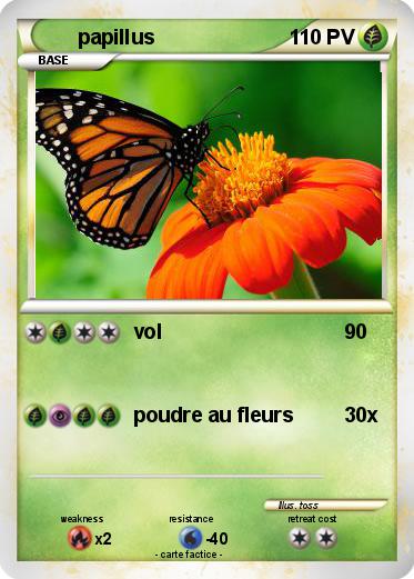 Pokemon papillus