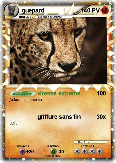 Pokemon guepard