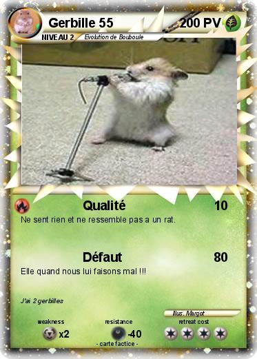 Pokemon Gerbille 55