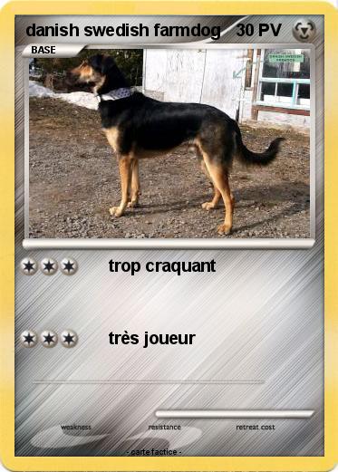 Pokemon danish swedish farmdog