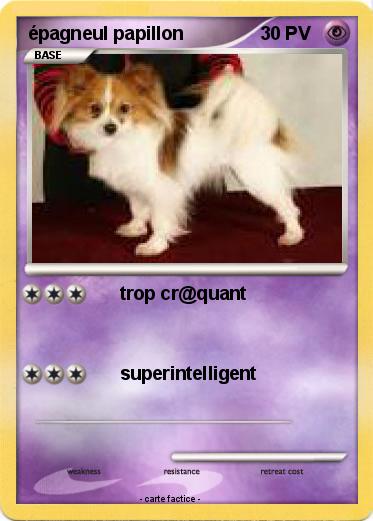 Pokemon épagneul papillon