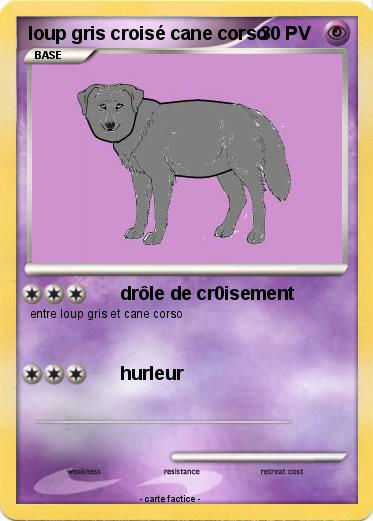 Pokemon loup gris croisé cane corso