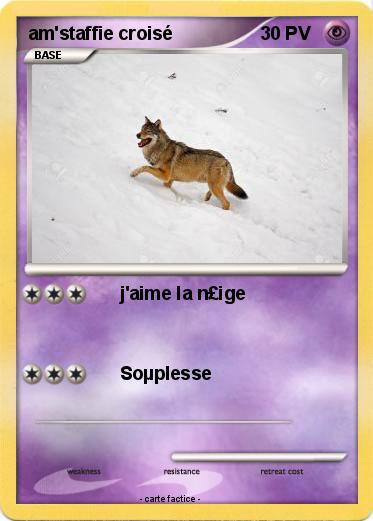 Pokemon am'staffie croisé