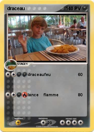 Pokemon draceau