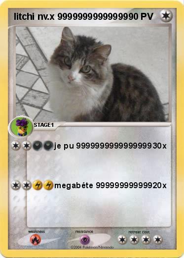 Pokemon litchi nv.x 99999999999999