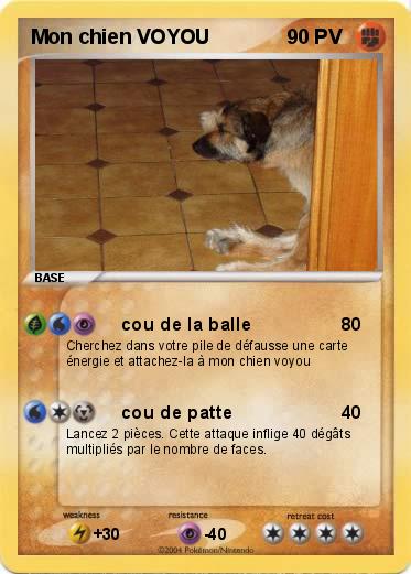 Pokemon Mon chien VOYOU 
