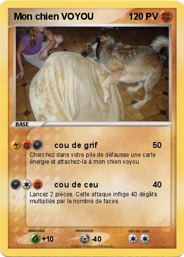 Pokemon Mon chien VOYOU 