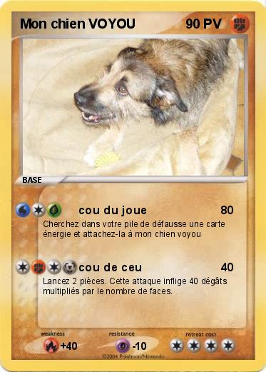 Pokemon Mon chien VOYOU 